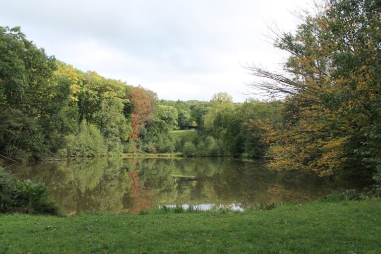 Herfstkleuren in de Ardennen